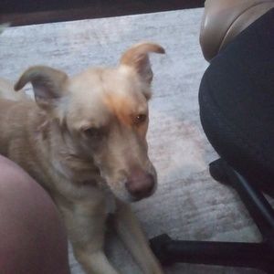 Meet your Posher, Gary